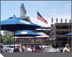 The Thirsty Parrot and Jacobs Field